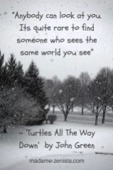 Quote from 'Turtles All The Way Down' by John Green
